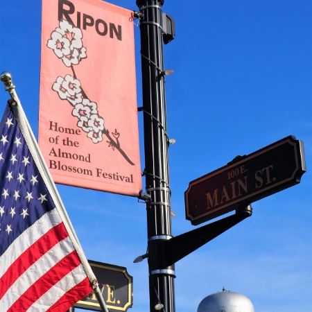 Ripon Blossom Festival sign